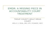 EMDR: A MISSING PIECE IN ACCOUNTABILITY COURT TREATMENT TROUP COUNTY ADULT DRUG COURT KELLY J. VEAL, MS, LPC, CCAADC, NCC.