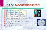 Decompression, Dive Tables, and Dive Computers Unit 5: Decompression n Nitrogen and Diving. n Dive Table Overview. n Dive Table Organization. n Dive Planning.