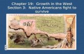 Chapter 19: Growth in the West Section 3: Native Americans fight to survive.
