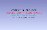 COMENIUS PROJECT «WORDS DON’T COME EASY» FIRST MEETING IN BELGIUM 20-24th NOVEMBER 2013.