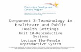 Component 3-Terminology in Healthcare and Public Health Settings Unit 10-Reproductive Systems Lecture 10a-Female Reproductive System This material was.