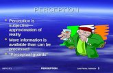 MKTG 371 PERCEPTION Lars Perner, Instructor 1 PERCEPTION  Perception is subjective— approximation of reality  More information is available than can.