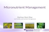 Micronutrient Management Dorivar Ruiz Diaz Soil Fertility and Nutrient Management.