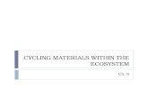 CYCLING MATERIALS WITHIN THE ECOSYSTEM Ch. 6.  Conservation of matter – matter is recycled not created or destroyed. (forms: solid, liquid, gas)  In.