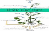 1 ABIOTIC PLANT STRESS. 2 PLANT STRESS 1.Any external factors that negatively influence plant growth, productivity, reproductive capacity or survival.