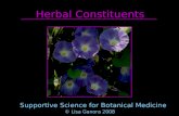 Herbal Constituents Supportive Science for Botanical Medicine © Lisa Ganora 2008.