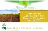 Caribbean Farmers Network @gmail.com “ S ustainable Agriculture and Farming Practices for the ECS” By: Conroy Huggins.