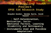 “The Struggling Youth Project” EPSE 526 Research Study Self-Determination, Motivation, Socio- Emotional Factors, Learning Disability and Delinquency Instruments.