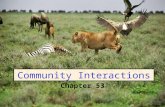Community Interactions Chapter 53. Community Ecology Community – all the species in a given location at a given time Habitat the physical environment.