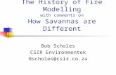 The History of Fire Modelling with comments on How Savannas are Different Bob Scholes CSIR Environmentek Bscholes@csir.co.za.