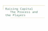 Raising Capital The Process and the Players. Decisions Facing the Firms Firms can raise investment capital from many sources with a variety of financial.