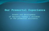 Growth and development of Heavenly Father’s children in the premortal existence.