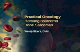 Practical Oncology Hemangiosarcoma Bone Sarcomas Wendy Blount, DVM.