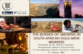 THE BURDEN OF SMOKING IN SOUTH AFRICAN GOLD MINE WORKERS Presented by Dr Vanessa Govender Occupational Medical Practitioner To Parliamentary Health Portfolio.