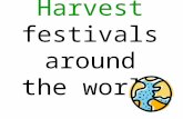 Harvest festivals around the world. Harvest festivals In Britain Christian people celebrate Harvest festival. In America people celebrate Thanksgiving.