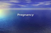Pregnancy. Passing on your DNA  ogram_adv.html#  ogram_adv.html# .