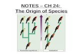 NOTES – CH 24: The Origin of Species. Hummingbirds of Costa Rica Species.