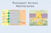 Transport Across Membranes 1. Objectives Be familiar with mechanisms of transporting material across the membrane and key examples Be familiar with mechanisms.