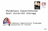 Pulmonary hypertension Goal directed therapy Pulmonary Hypertension Programme University of Toronto FMD.