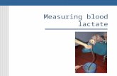 Measuring blood lactate. Lactate Lactate production is a normal physiologic process and occurs in all animals its presence does not indicate disease A.