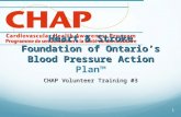 Heart & Stroke Foundation of Ontario’s Blood Pressure Action Heart & Stroke Foundation of Ontario’s Blood Pressure Action Plan™ CHAP Volunteer Training.