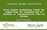 European Biogas Association Cross-border biomethane trade for supporting the expanded use of methane as transportation fuel in Europe Lodi, 19 th June,