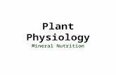 Plant Physiology Mineral Nutrition. Mineral Nutrition in plants Plants are: Capable of making all necessary organic compounds from inorganic compounds.