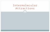 Intermolecular Attractions. What is the difference?  What is the difference between:  Inter-molecular?  Intra-molecular?  More solid  Moves less.