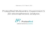ProteoRed Multicentric Experiment 5 2D electrophoresis analysis Salamanca, 16-17 March, 2010.
