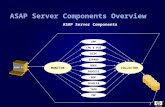 1 ASAP Server Components Overview PROCESS NODE EXPAND DISK CPU & PCB APP SPOOLER TAPE TMF RDF MONITORCOLLECTOR LOG ASAP Server Components ASAP CI.