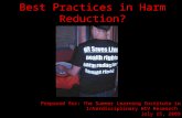 Best Practices in Harm Reduction? Prepared for: The Summer Learning Institute in Interdisciplinary HIV Research July 15, 2009.