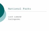 National Parks Loch Lomond Caringorms. Aims  For any named Upland Glaciated area or a National Park  Describe the environmental/land use conflicts which.