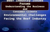 Environmental Challenges Facing the Beef Industry Environmental Challenges Facing the Beef Industry Beef Industry Issues Forums Understanding the Business.