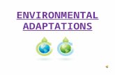 ENVIRONMENTAL ADAPTATIONS 1)Woodland river Q: What adaptations are necessary for an organism to survive successfully in this environment?