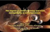 The impact of global warming and snail susceptibility to schistosomiasis Matty Knight The George Washington University, Washington DC University of the.