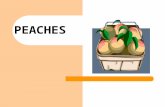PEACHES. The peach comes from a deciduous tree of the rose family. The tree grows 15 to 25 feet high. It grows best in warmer, tropical to subtropical.
