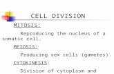 CELL DIVISION MITOSIS: Reproducing the nucleus of a somatic cell. MEIOSIS: Producing sex cells (gametes). CYTOKINESIS: Division of cytoplasm and organelles.