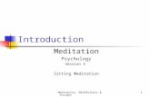 Meditation, Mindfulness & Insight1 Introduction Meditation Psychology Session 5 Sitting Meditation.