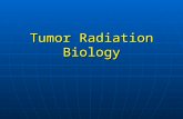 Tumor Radiation Biology. Tumors represent uncontrolled growth of a cell population. Tumors represent uncontrolled growth of a cell population. Loss of.