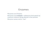 Enzymes Enzymes are Proteins Enzymes are Catalysts- substances that speed up reactions without being altered in the process Enzyme names end in “ase”