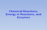 Chemical Reactions, Energy in Reactions, and Enzymes f.