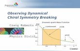 Observing Dynamical Chiral Symmetry Breaking Craig Roberts Physics Division.