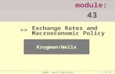 1 of 49 module: 43 >> Krugman/Wells ©2009  Worth Publishers Exchange Rates and Macroeconomic Policy.