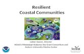 Resilient Coastal Communities LaDon Swann, Director NOAA’s Mississippi-Alabama Sea Grant Consortium and Auburn University Marine Center.
