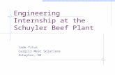 Engineering Internship at the Schuyler Beef Plant Jade Titus Cargill Meat Solutions Schuyler, NE.