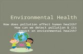 How does pollution affect human health? How can we detect pollution & its impact on environmental health?