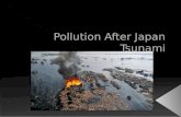Types of pollution caused by the Japan’s Tsunami: › Water pollution  Soil Contaminants and physical contaminants;  Oil spills; › Nuclear pollution.