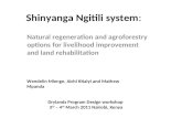 Shinyanga Ngitili system: Natural regeneration and agroforestry options for livelihood improvement and land rehabilitation Wendelin Mlenge, Aichi Kitalyi.