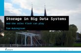 1 Challenge the future Storage in Big Data Systems And the roles Flash can play Tom Hubregtsen.