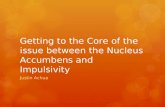 Getting to the Core of the issue between the Nucleus Accumbens and Impulsivity Justin Achua.